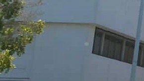 Madre buscadora de desaparecidos