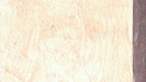 Martha Julia | Mezcalent