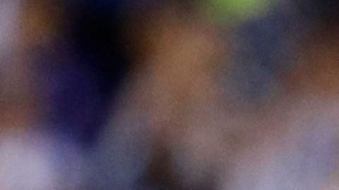 Messi le firma la espalda a un fanático que saltó al terreno de juego en el encuentro contra Jamaica.