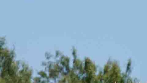 Los migrantes desafían el resguardo de la frontera sur