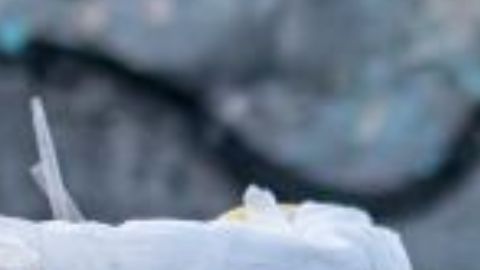 Muere joven repentinamente tras beber una piña colada