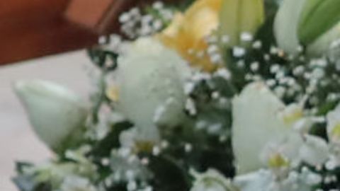 Mujer causa sensación tras celebrar su cumpleaños con temática de funeral