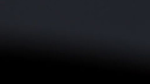 Mujer descubre que sus papás son amigos de Dua Lipa y el desenlace es impactante