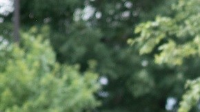 El cargador Fermata Energy FE-15 marca un paso importante en la electrificación que Nissan espera implantar en el mercado automotriz