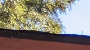 El mural se encuentra en el parque Los Cerritos, en la ciudad de Long Beach. (Jacqueline García/La Opinión)