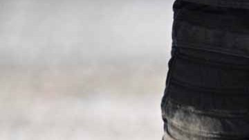 Cada vez es más frecuente la presencia de perros policía