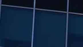 Al interior de la policía no se tolera el racismo