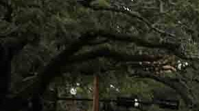 Decenas de policías decidieron dar un paso al costado hace algunos meses