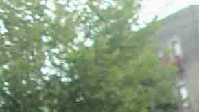 Pocas veces se observa a un oficial salirse de control en un festejo