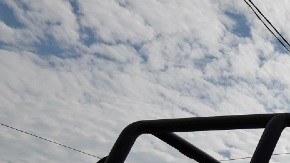 Policía de Veracruz