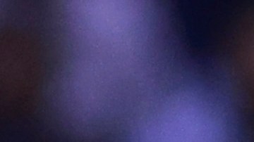 Puebla y América se enfrentan en la última jornada del Torneo Apertura.