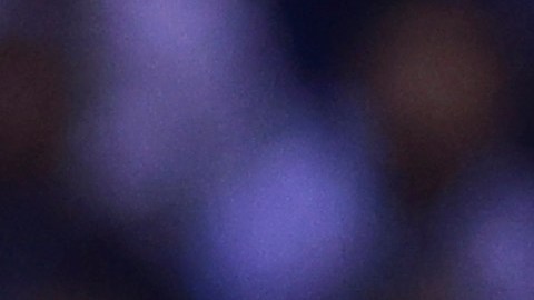 Puebla y América se enfrentan en la última jornada del Torneo Apertura.