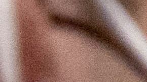 Reportero de Fox se niega a traducir los comentarios de un migrantes porque no se vería bien en televisión