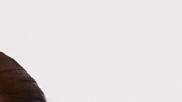 Shannon De Lima, modelo venezolana y ex de Marc Anthony.