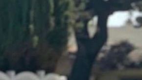 Silvia De la Torre Real fue asesinada a los 29 años de edad. (Cortesía)