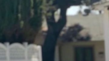 Silvia De la Torre Real fue asesinada a los 29 años de edad. (Cortesía)