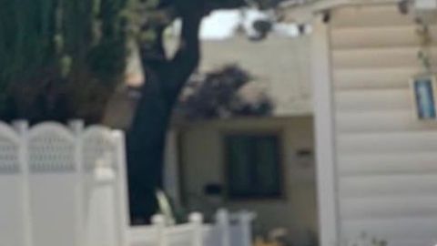 Silvia De la Torre Real fue asesinada a los 29 años de edad. (Cortesía)