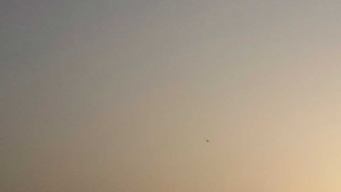 Un par de oficiales fueron seducidos por la idea de ganar dinero fácil