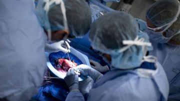 La donación de un órgano salva otra vida