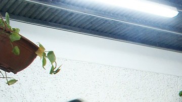 VIDEO Asilo para ancianos contrata show erótico con stripper para mayores en silla de ruedas