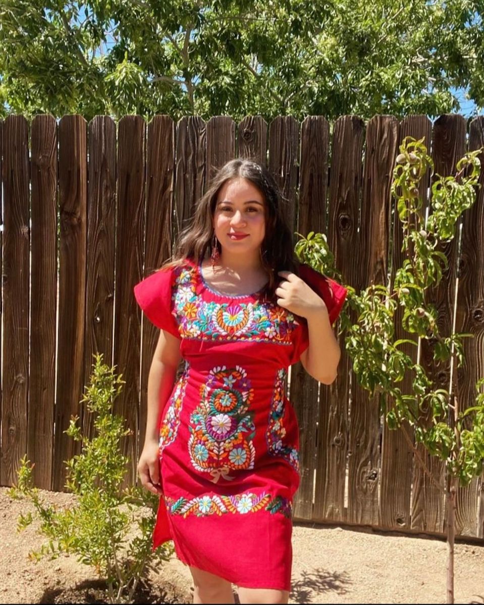 Vestida y Alborotada: la mexicana creación de una pareja DACA en el año de la pandemia - La Opinión Vestida y Alborotada: la mexicana creación de una pareja DACA en el año de la pandemia - La Opinión
