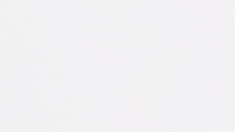 electronic cigarettes