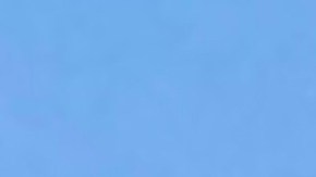 Manifestantes piden un TPS que ampare a centroamericanos que viven en Estados Unidos.