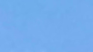 Manifestantes piden un TPS que ampare a centroamericanos que viven en Estados Unidos.