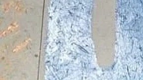 Hace falta financiamiento para obtener información de salud sobre los diferentes grupos asiáticos en Estados Unidos. (Cortesía Kasey N. Pham)