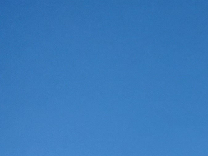 La comunidad del pueblo de Edgartown en Martha's Vineyard recibió a los inmigrantes.