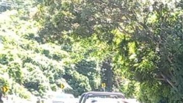 choque-puerto-vallarta