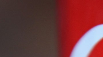 Imagen de una lata roja con letras blancas de la marca Coca Cola.