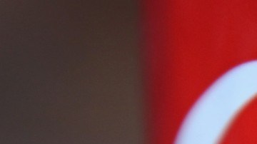 Imagen de una lata roja con letras blancas de la marca Coca Cola.