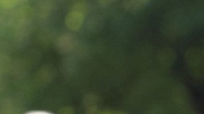 Inmunidad preexistente: la razón por la que algunos nunca han tenido COVID