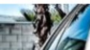 La Policía investiga.