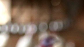 Imagen de varios pavos de color blanco en una granja de pavos.