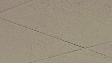 El senador Padilla se reunió con organizaciones civiles que ayudan y defienden a inmigrantes que solicitan asilo.