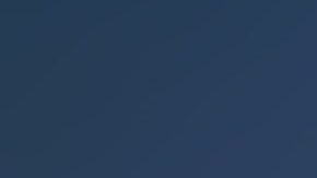 Libélula o caballito del diablo