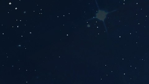 Signo de Libra