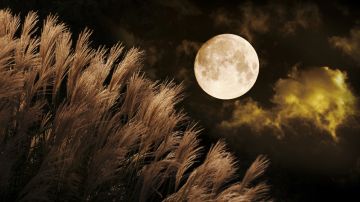 Luna llena de septiembre 2022: 3 rituales para atraer y llamar a la abundancia