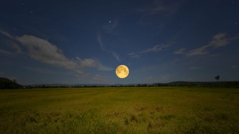 Luna llena de la Cosecha