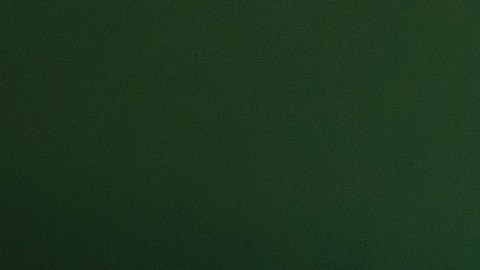 Moscas en los sueños