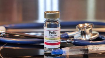 La OMS incluyó a Estados Unidos en la lista de países con brotes de poliovirus