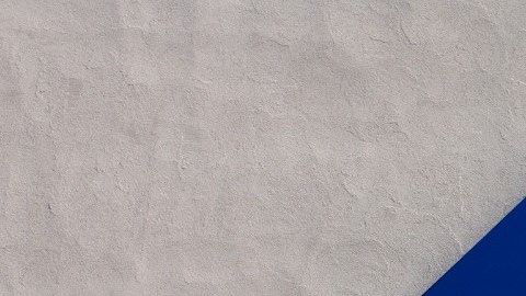 Imagen del logotipo de Sam's Club sobre un muro de color gris.