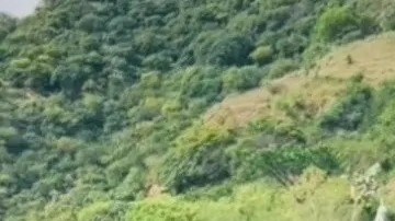 sicario del cártel de Sinaloa