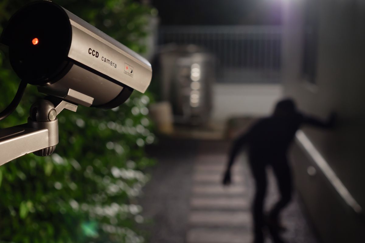 Persistente arco biografía 5 sistemas de cámaras de seguridad para tu casa en oferta en Amazon - La  Opinión