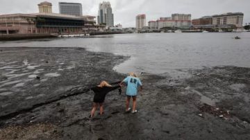 Cómo se vio el agua retirarse de la bahía de Tampa este miércoles.