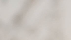 Salen a la luz pública las violentas frases del senador Lindsey Graham durante los ataques del 6 de enero en el Capitolio.