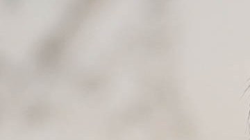 Salen a la luz pública las violentas frases del senador Lindsey Graham durante los ataques del 6 de enero en el Capitolio.