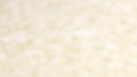 Karol G perdió su falda mientras cantaba | Mezcalent.